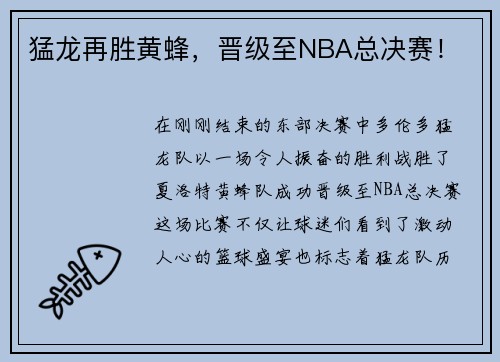 猛龙再胜黄蜂，晋级至NBA总决赛！