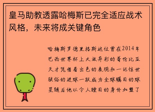 皇马助教透露哈梅斯已完全适应战术风格，未来将成关键角色